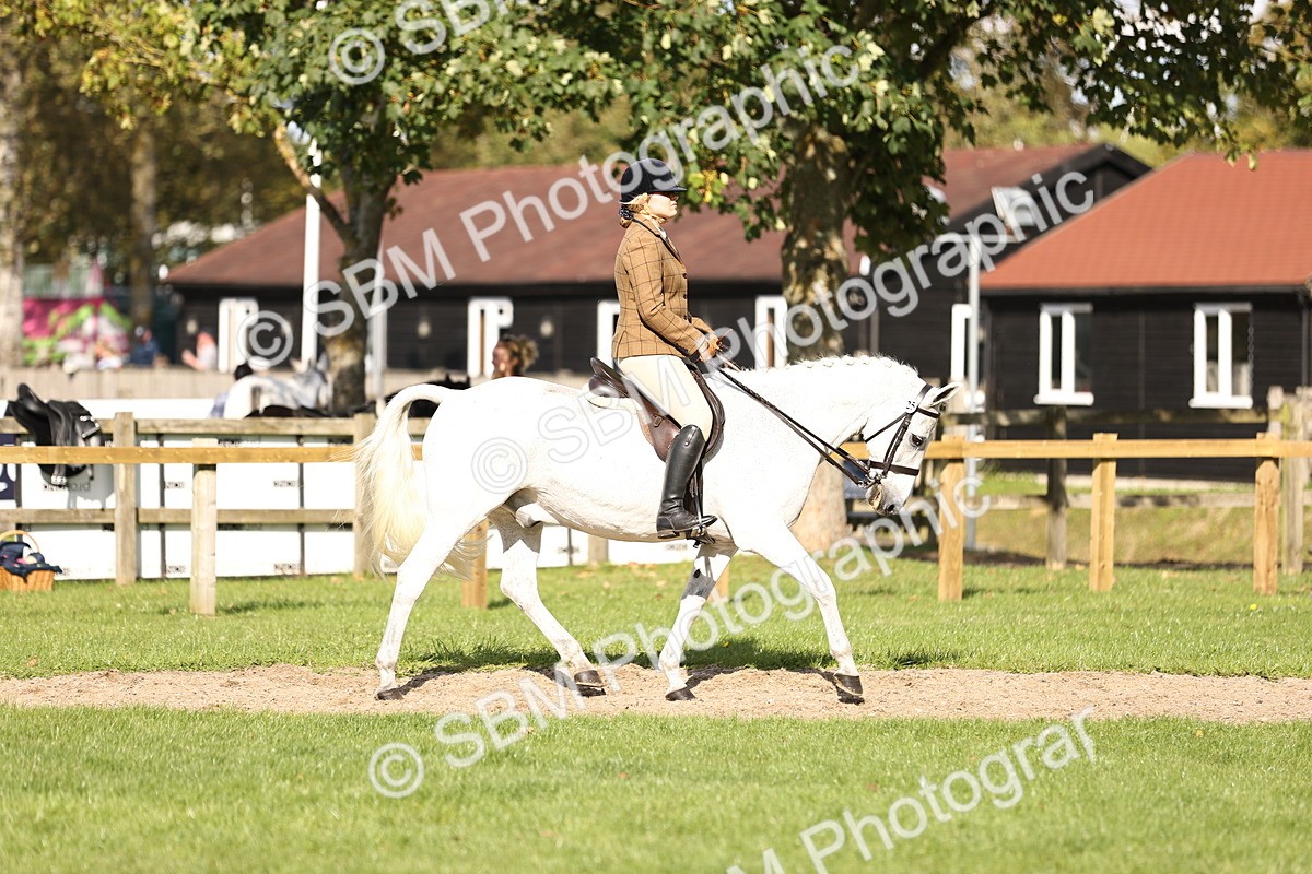 SBM_26333 - S6 - Novice & Newcomers Ridden Horse