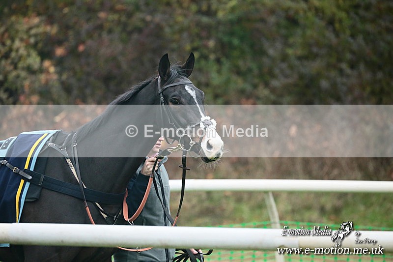 PtP 091124  226 - Knightwick Races Point-to-Point 09/11/24