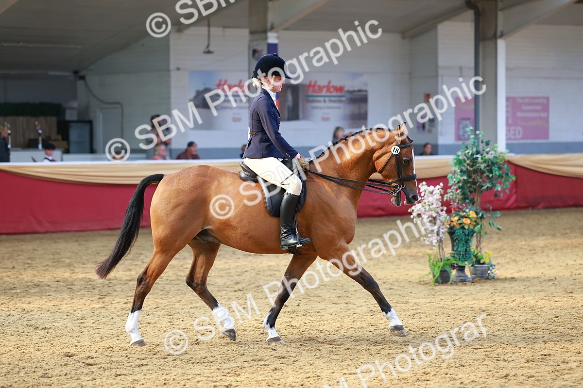 SBM_20510 - Class 906 - Sup Final Ridden Champ