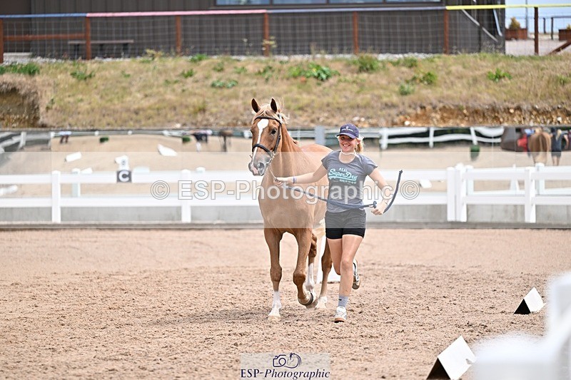 250716-132811-00533 - Trot Up 12.30 to 1.30