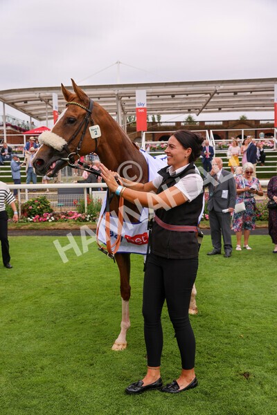 yr23072022r2-73 - Race 2 2.40pm Sky Bet Dash