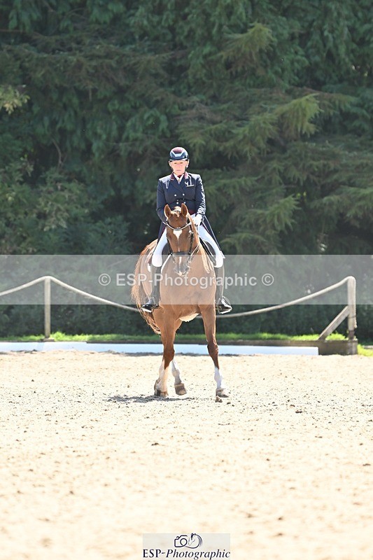 240811-145131-06448 - 121-Debbie.Cole-Dancer.III