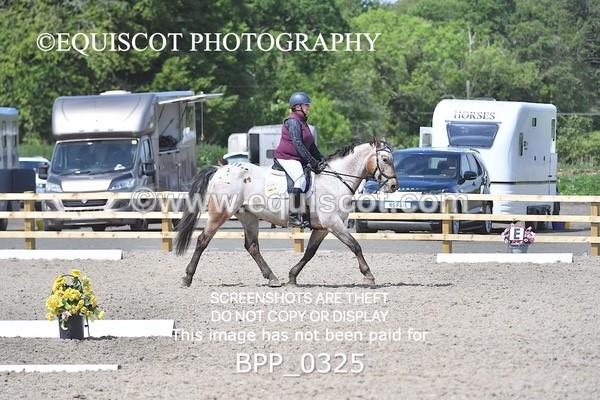 BPP_0325 - SHORT ARENA  MY QUEST PRELIM