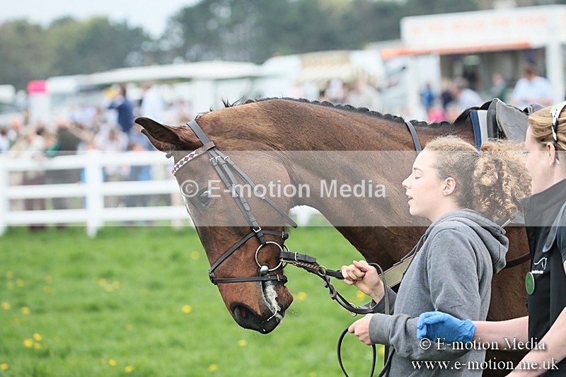 PtP 210418 146 - South & West Wilts Point-to-Point Larkhill 21/04/18
