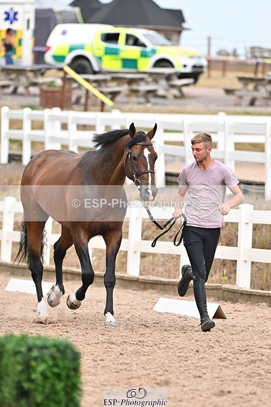 250716-163038-02655 - Trot Up 4.30 to 5.00