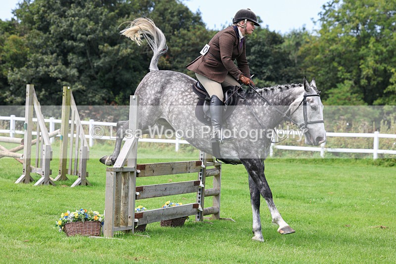 3E7A8869 - Class 6: Open Working Horse