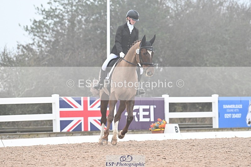 240217A-095349-00479 - 123-Daisy.Hedges-Felicia.v