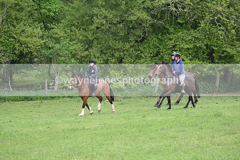 WJ6_2466 - A Camera