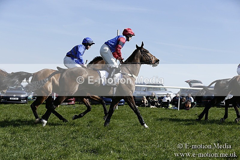 PtP 260317 191 - Mendip Farmers Point-to-Point Ston Easton 26/03/17