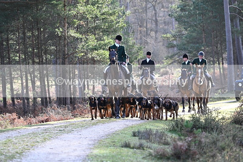 WJ7_7633 - Line 3 (no line 4 or 5)