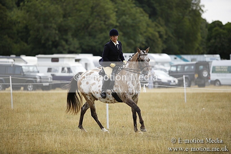 _C7A9528 - BVRC Show 2018 Ring 1