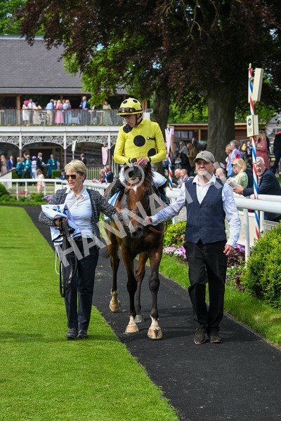 170524-Race 2-Botanical-7736 - Race 2 2.45pm Knights Solicitors Handicap