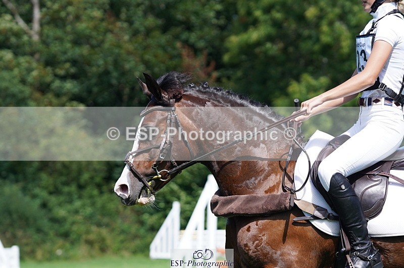 240811A-121340-02845 - 123-