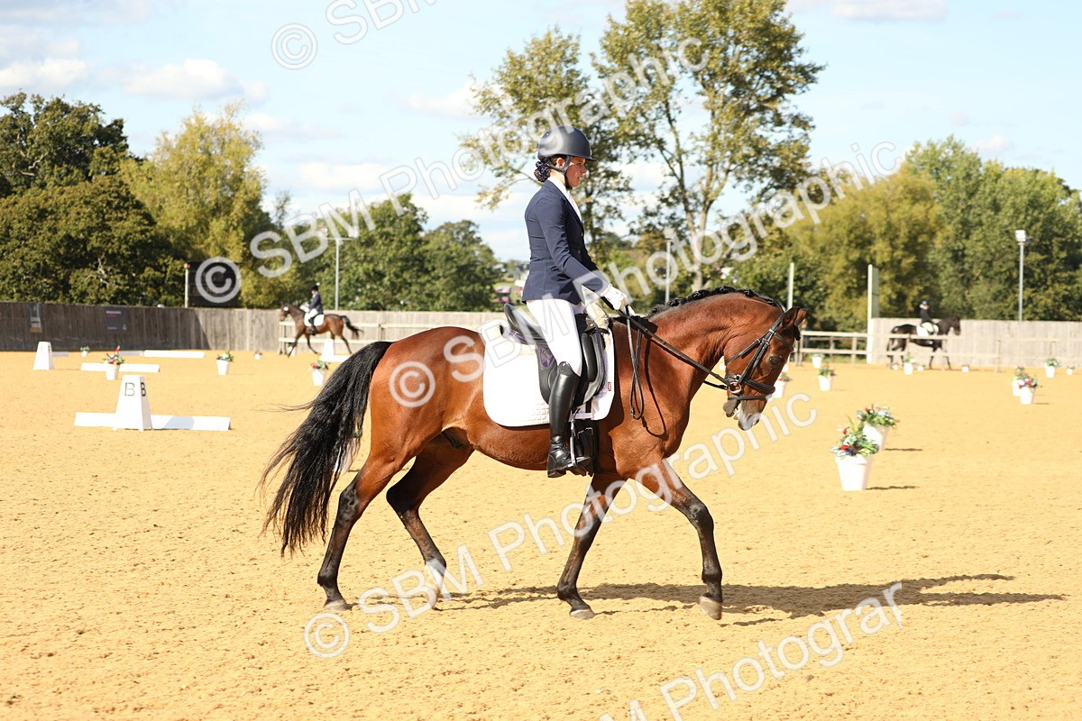 SBM_26623 - D17 - Grand Tour Championship - Novice 27