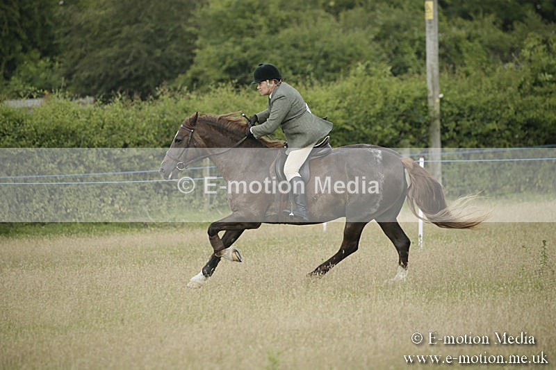 B230619-0190 - Bourne Valley Riding Club Summer Show 23/06/19