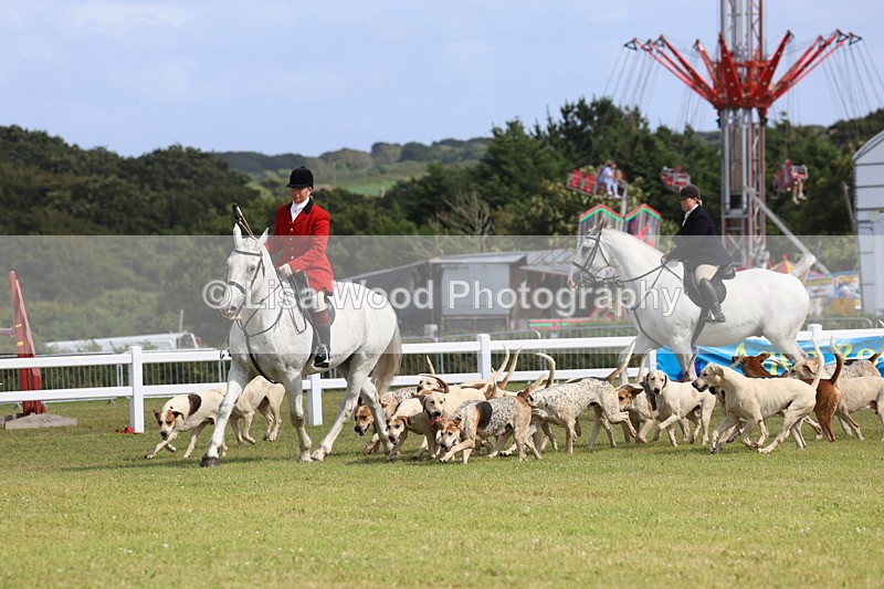 3E7A3361 - Parade of Hounds