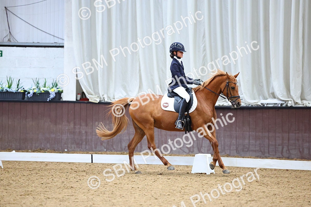 SBM_003978 - Novice 2