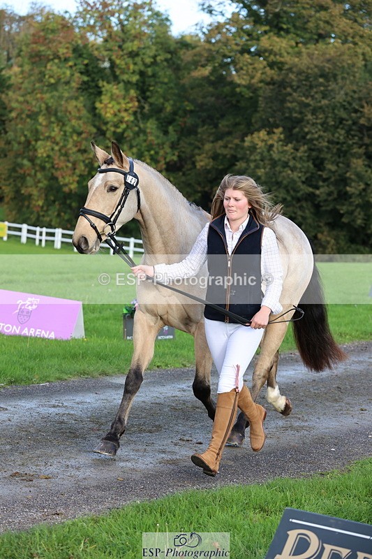 251026A-100334-22707 - D-342-Jessica.Saunders