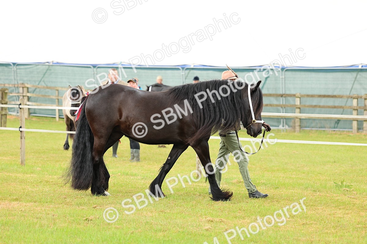SBM_00493 - Class 58-67 - M&M Non Welsh Pony In hand