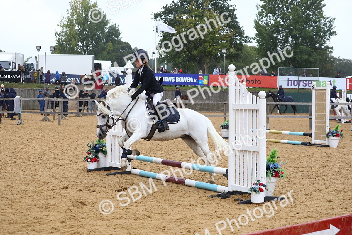 SBM_72036 - J3b - Mini Tour Junior Pony 40cm Championship