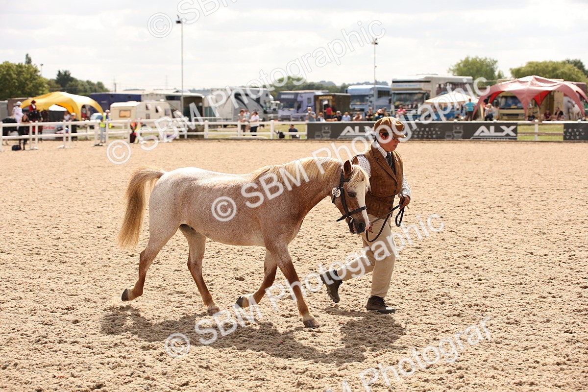 SBM_04649 - Class 20 IH Veteran