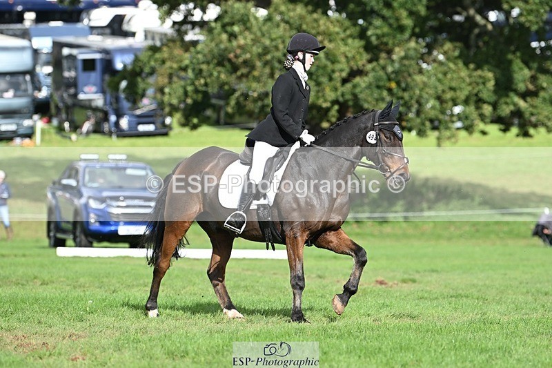 231020-140737-10553 - 494-WEST.FIELD.REBEL-Laura.Bilham-DR