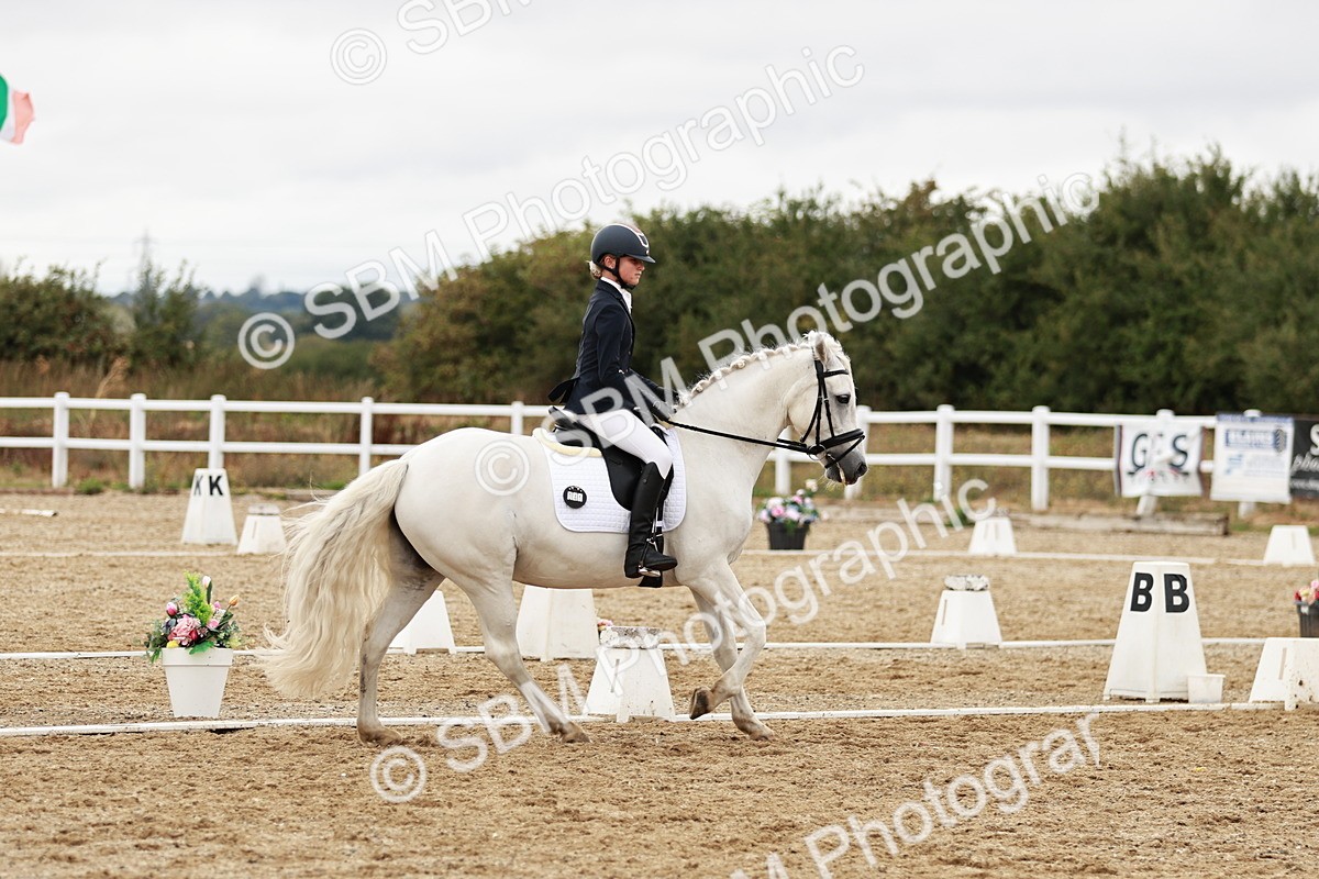 SBM_003652