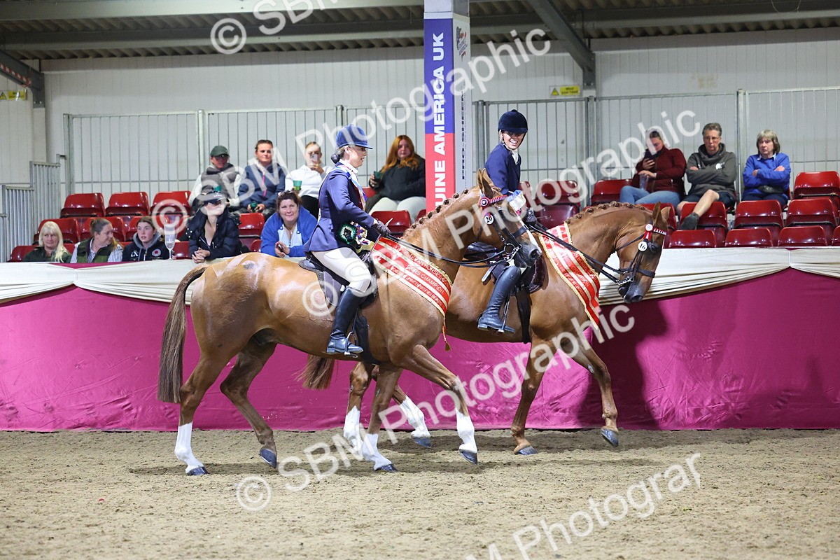0B8A4355 - Class M Ridden Pairs Champ