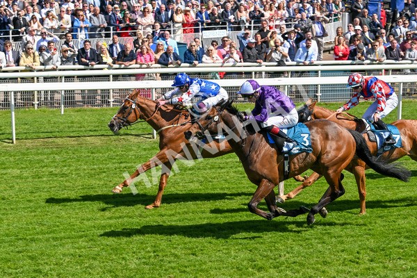 160525-Race 2-Thunder Run-6254 - Race 2 2.42pm Knights Solicitors Handicap