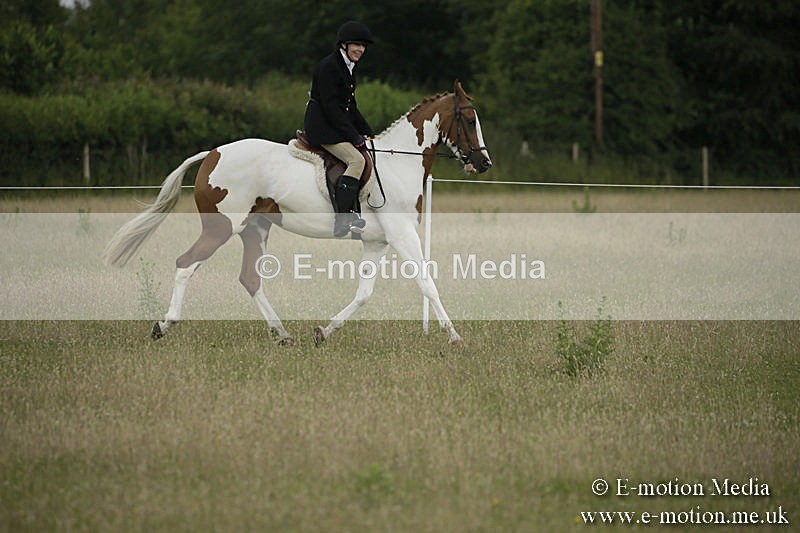 B230619-0206 - Bourne Valley Riding Club Summer Show 23/06/19