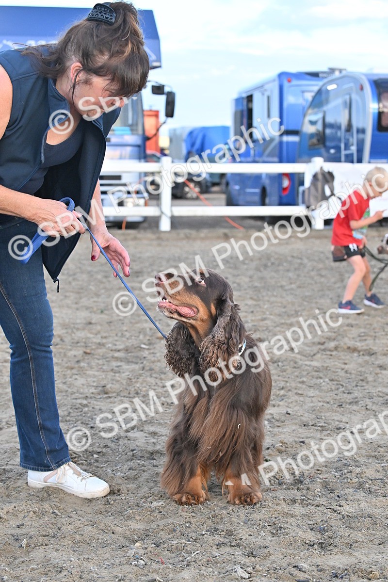 SBM_09600 - Lorry Dogs