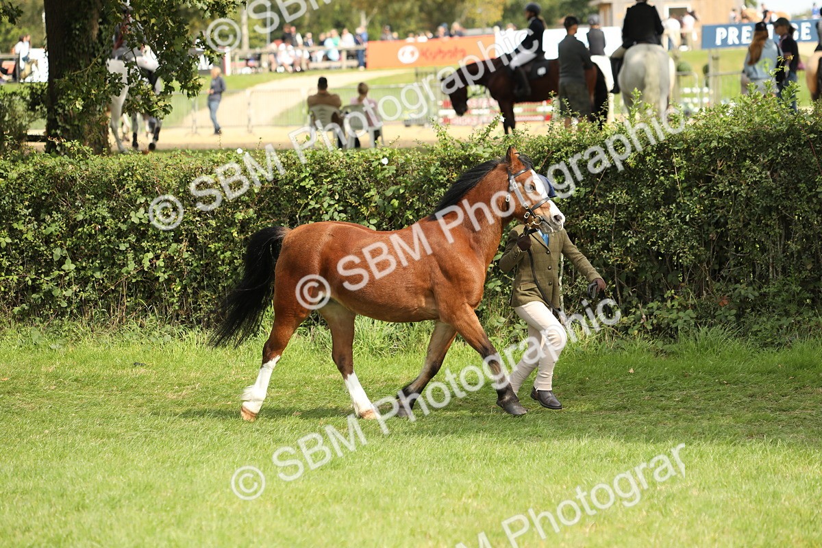 SBM_67719 - S39 - Junior Handler 8  Years & Under