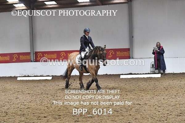 BPP_6014 - ELEM TEST 4