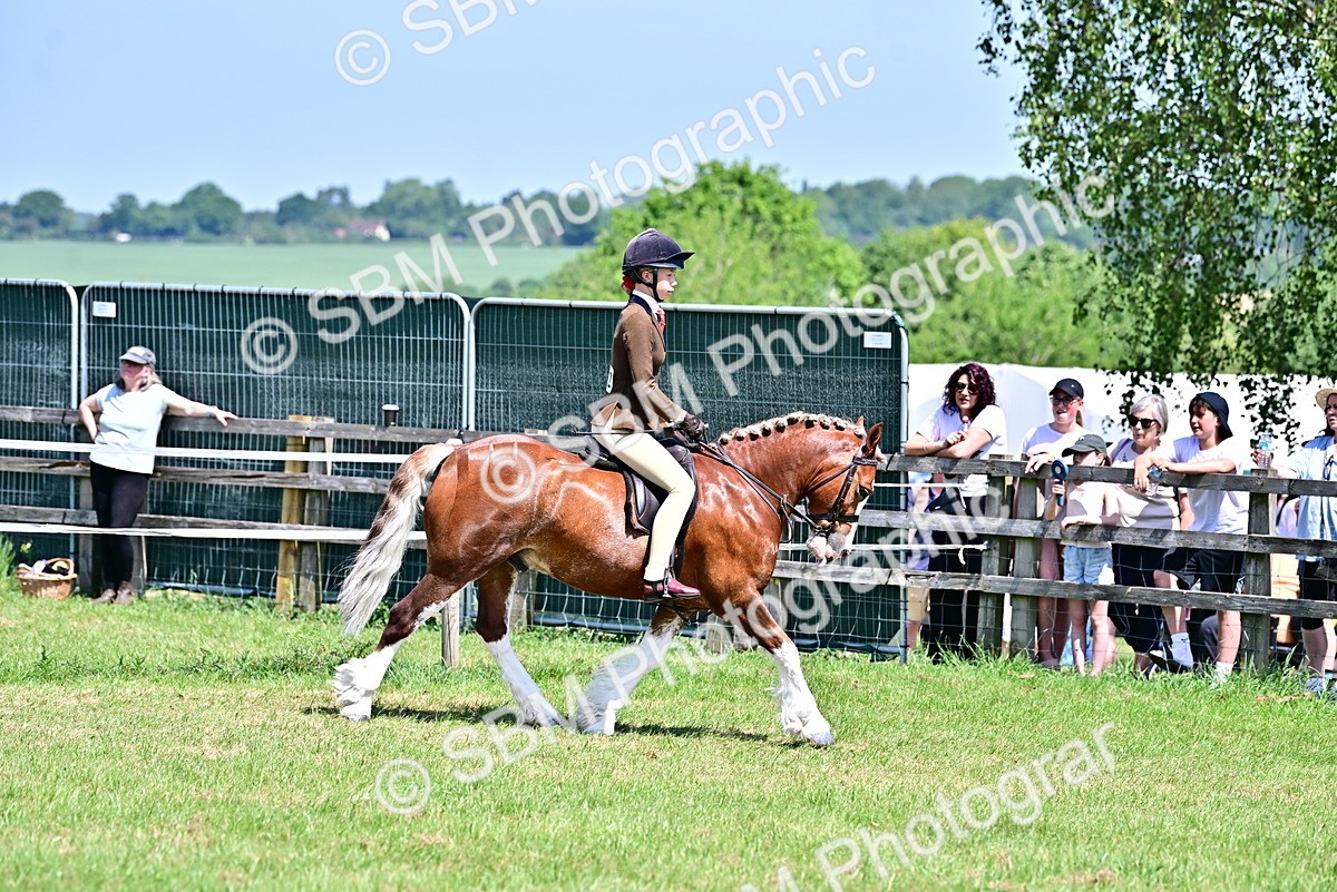SBM_15268 - Class 95-97 - BSPS LHS Performance Ponies