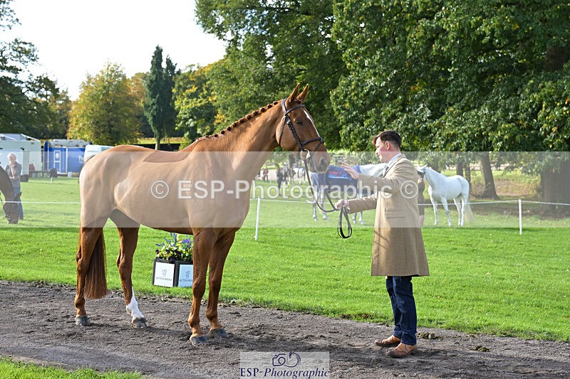 241023-130931-00104 - 054-Matthew.Heath-DASSETT.VENTURE