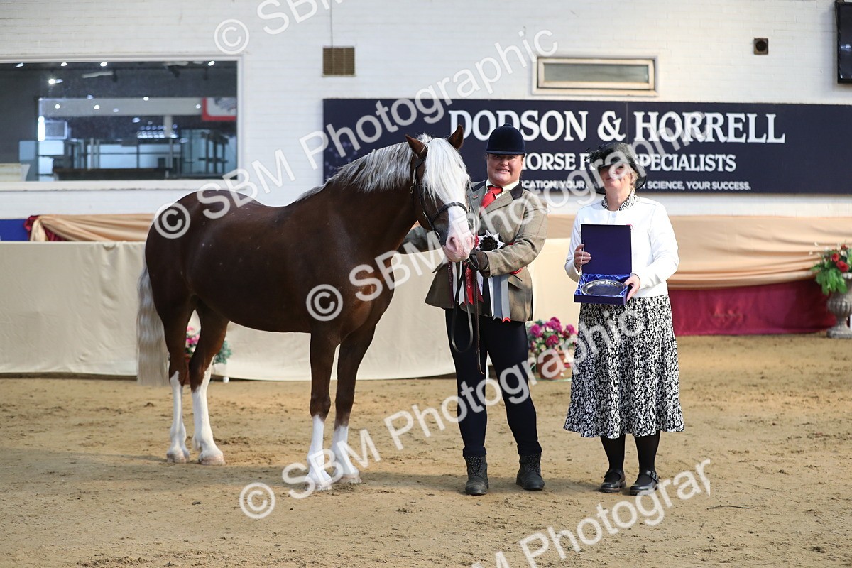 SBM_01399 - Class 3a Area IH Pre Vet