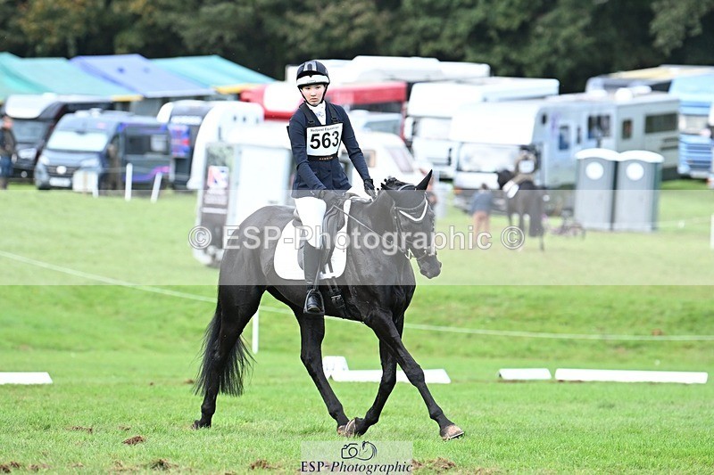 231020-162602-11709 - 563-SOUTHPAW-Kaia.Land-DR