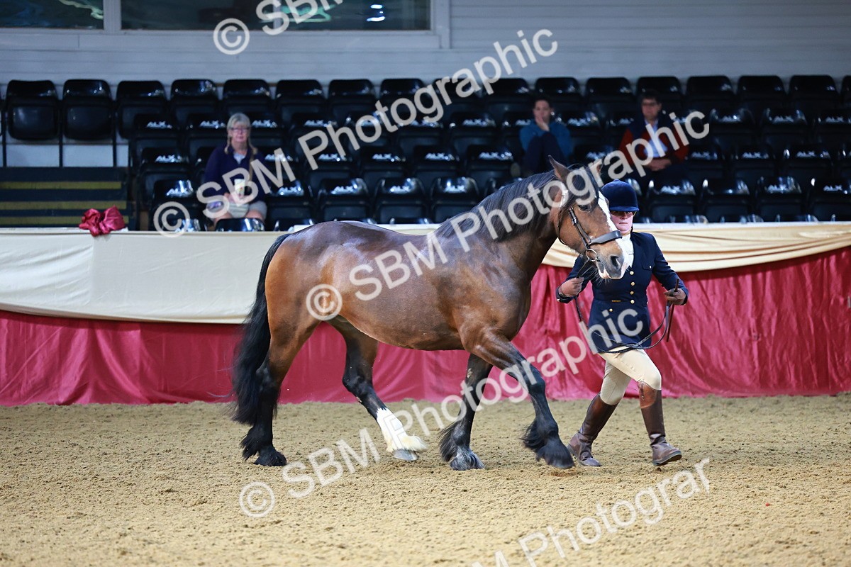 SBM_21771 - Class 901 - Supreme Final - IH  Diamond