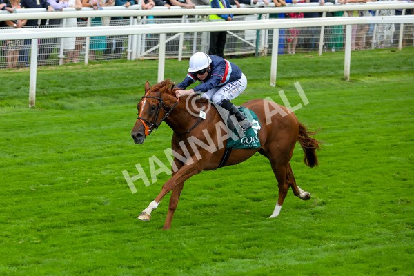 240823-Race 2-Dragon Leader-5095 - Race 2 2.25pm Goffs UK Harry Beeby Premier Yearling Stakes