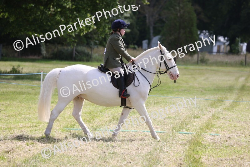 20260614-0785 - Class 20 - Beginners Working Hunter Pony