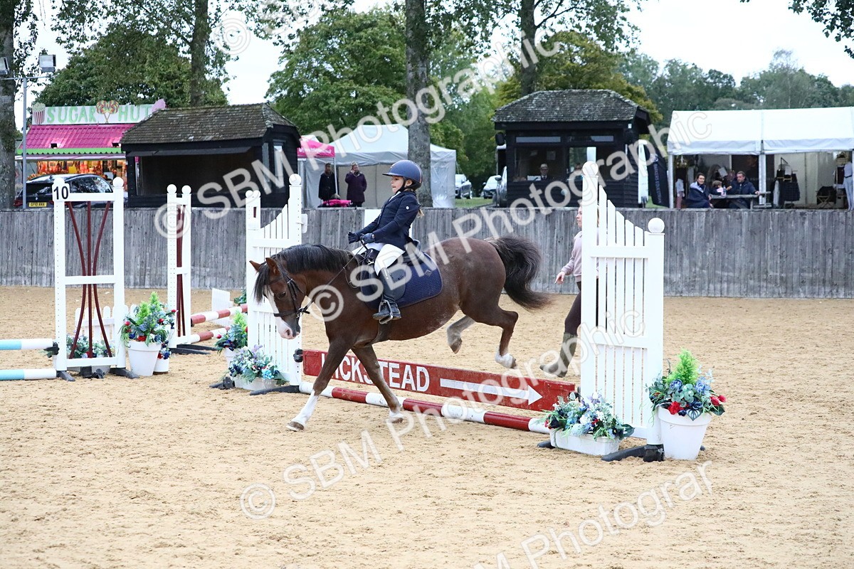SBM_68344 - J3b - Mini Tour Junior Pony 40cm Championship