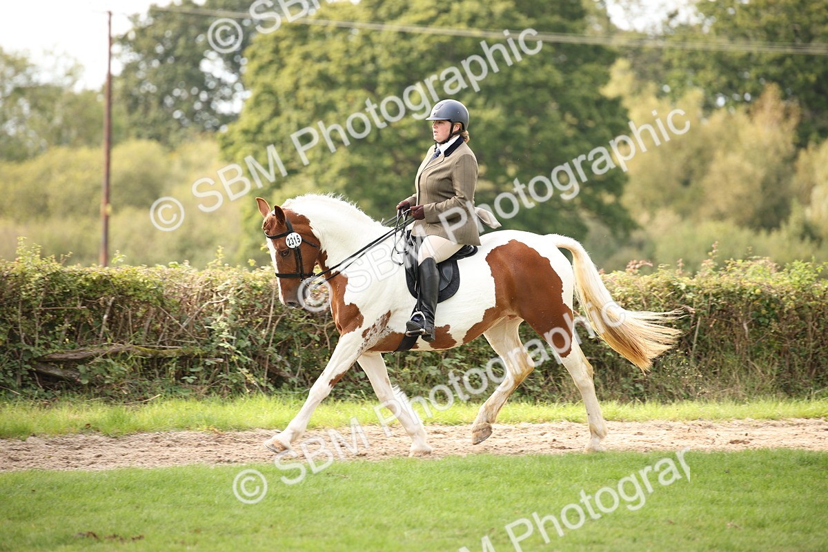 SBM_70391 - S66 - Hunter Ridden
