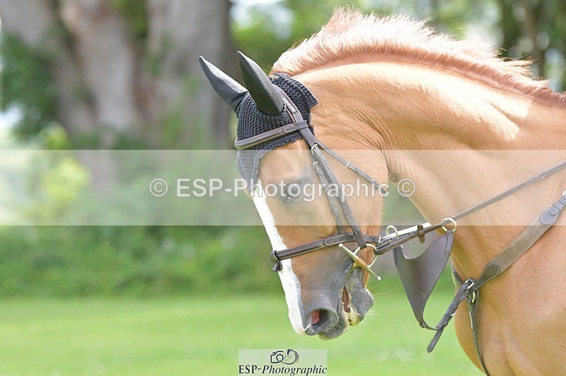 240704-095719-00843 - Cls 10 5 Yr Old Qualifier