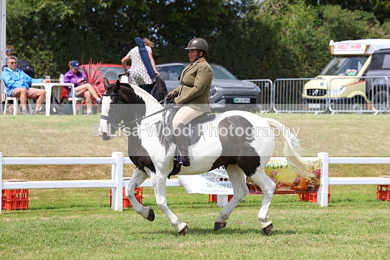 3E7A1960 - Class 10: Open Cob
