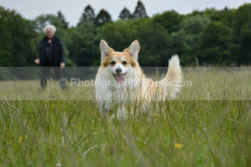  - Eric, Ulla, Maisie and Lola