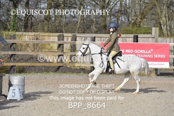 BPP_8664 - TRAINING STAKES