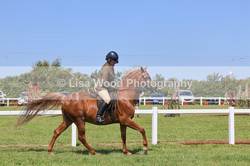 IMG_2215 - Class 37: Pure, Anglo & Part Bred Ridden Arab