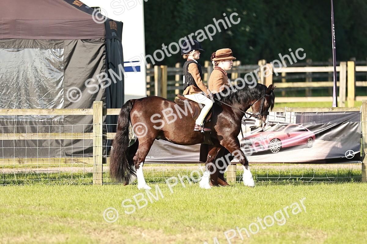 SBM_10999 - Class 106-107 - BSPS LIHS Working Sports Pony
