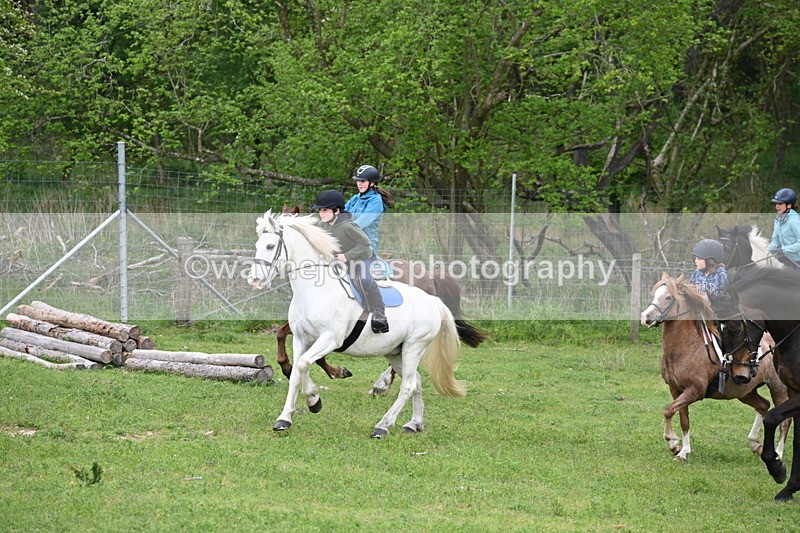 WJ6_3017 - A Camera