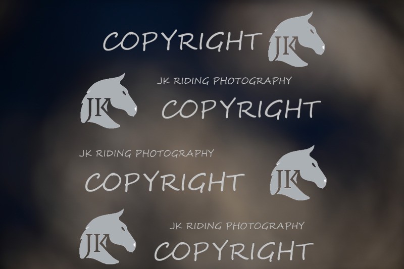 SBP_0650 - 10am - 11am